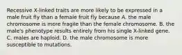 Recessive X-linked traits are more likely to be expressed in a male fruit fly than a female fruit fly because A. the male chromosome is more fragile than the female chromosome. B. the male's phenotype results entirely from his single X-linked gene. C. males are haploid. D. the male chromosome is more susceptible to mutations.