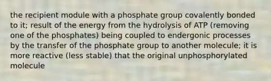 the recipient module with a phosphate group covalently bonded to it; result of the energy from the hydrolysis of ATP (removing one of the phosphates) being coupled to endergonic processes by the transfer of the phosphate group to another molecule; it is more reactive (less stable) that the original unphosphorylated molecule