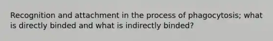 Recognition and attachment in the process of phagocytosis; what is directly binded and what is indirectly binded?