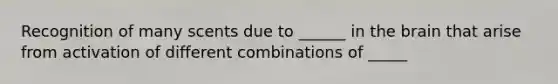 Recognition of many scents due to ______ in <a href='https://www.questionai.com/knowledge/kLMtJeqKp6-the-brain' class='anchor-knowledge'>the brain</a> that arise from activation of different combinations of _____