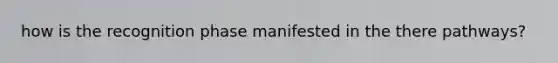 how is the recognition phase manifested in the there pathways?