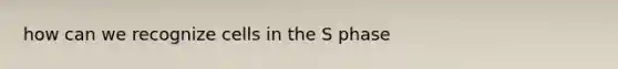 how can we recognize cells in the S phase