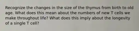 Recognize the changes in the size of the thymus from birth to old age. What does this mean about the numbers of new T cells we make throughout life? What does this imply about the longevity of a single T cell?