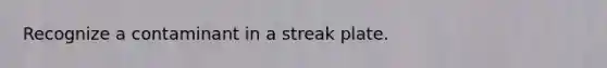 Recognize a contaminant in a streak plate.