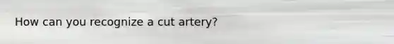 How can you recognize a cut artery?