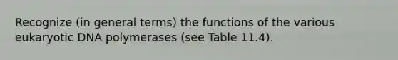 Recognize (in general terms) the functions of the various eukaryotic DNA polymerases (see Table 11.4).