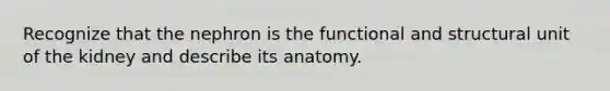 Recognize that the nephron is the functional and structural unit of the kidney and describe its anatomy.