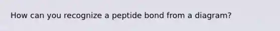 How can you recognize a peptide bond from a diagram?