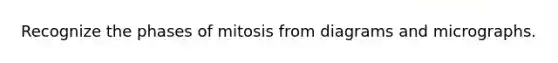 Recognize the phases of mitosis from diagrams and micrographs.