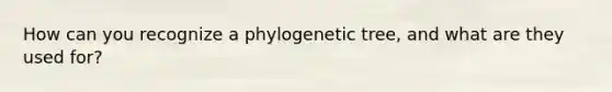 How can you recognize a phylogenetic tree, and what are they used for?