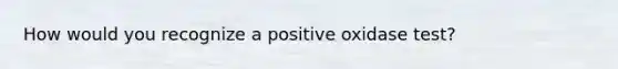 How would you recognize a positive oxidase test?