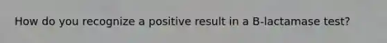 How do you recognize a positive result in a B-lactamase test?