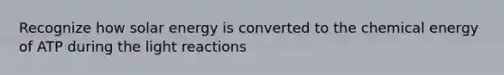 Recognize how solar energy is converted to the chemical energy of ATP during the light reactions