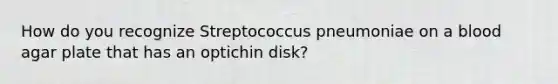 How do you recognize Streptococcus pneumoniae on a blood agar plate that has an optichin disk?