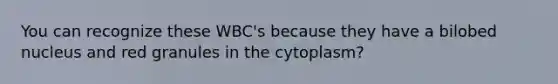 You can recognize these WBC's because they have a bilobed nucleus and red granules in the cytoplasm?