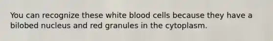 You can recognize these white blood cells because they have a bilobed nucleus and red granules in the cytoplasm.