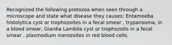 Recognized the following protozoa when seen through a microscope and state what disease they causes: Entamoeba histolytica cyst or trophozoites in a fecal smear , trypansoma, in a blood smear, Giardia Lambila cyst or trophozoits in a fecal smear , plasmodium merozoites in red blood cells.