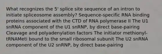 What recognizes the 5' splice site sequence of an intron to initiate spliceosome assembly? Sequence-specific RNA binding proteins associated with the CTD of RNA polymerase II The U1 snRNA component of the U1 snRNP, by direct base-pairing Cleavage and polyadenylation factors The initiator methionyl-tRNAMeti bound to the small ribosomal subunit The U2 snRNA component of the U2 snRNP, by direct base-pairing