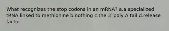 What recognizes the stop codons in an mRNA? a.a specialized tRNA linked to methionine b.nothing c.the 3′ poly-A tail d.release factor