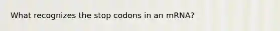 What recognizes the stop codons in an mRNA?