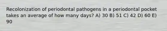 Recolonization of periodontal pathogens in a periodontal pocket takes an average of how many days? A) 30 B) 51 C) 42 D) 60 E) 90