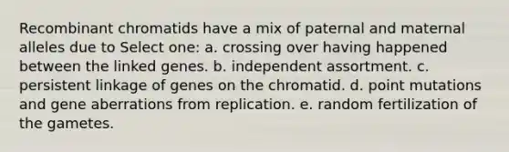 Recombinant chromatids have a mix of paternal and maternal alleles due to Select one: a. crossing over having happened between the linked genes. b. independent assortment. c. persistent linkage of genes on the chromatid. d. point mutations and gene aberrations from replication. e. random fertilization of the gametes.