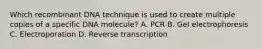 Which recombinant DNA technique is used to create multiple copies of a specific DNA molecule? A. PCR B. Gel electrophoresis C. Electroporation D. Reverse transcription