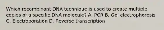 Which recombinant DNA technique is used to create multiple copies of a specific DNA molecule? A. PCR B. Gel electrophoresis C. Electroporation D. Reverse transcription