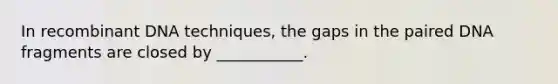 In recombinant DNA techniques, the gaps in the paired DNA fragments are closed by ___________.