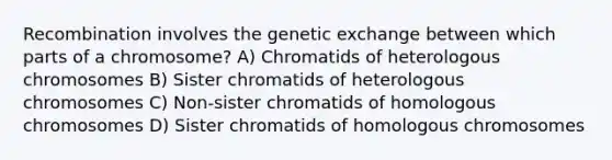 Recombination involves the genetic exchange between which parts of a chromosome? A) Chromatids of heterologous chromosomes B) Sister chromatids of heterologous chromosomes C) Non-sister chromatids of homologous chromosomes D) Sister chromatids of homologous chromosomes