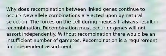 Why does recombination between linked genes continue to occur? New allele combinations are acted upon by natural selection. The forces on the cell during meiosis II always result in recombination. Recombination must occur or genes will not assort independently. Without recombination there would be an insufficient number of gametes. Recombination is a requirement for independent assortment.