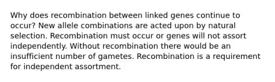 Why does recombination between linked genes continue to occur? New allele combinations are acted upon by natural selection. Recombination must occur or genes will not assort independently. Without recombination there would be an insufficient number of gametes. Recombination is a requirement for independent assortment.