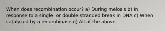 When does recombination occur? a) During meiosis b) In response to a single- or double-stranded break in DNA c) When catalyzed by a recombinase d) All of the above