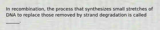 In recombination, the process that synthesizes small stretches of DNA to replace those removed by strand degradation is called ______.