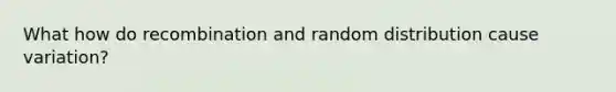 What how do recombination and random distribution cause variation?