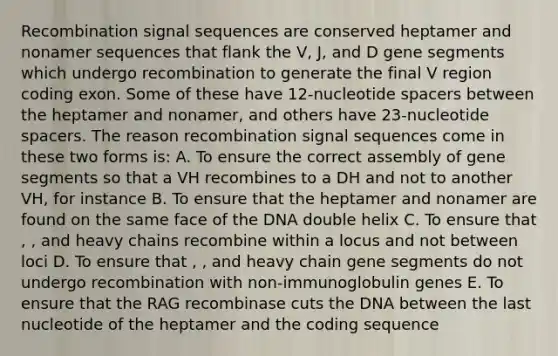 Recombination signal sequences are conserved heptamer and nonamer sequences that flank the V, J, and D gene segments which undergo recombination to generate the final V region coding exon. Some of these have 12-nucleotide spacers between the heptamer and nonamer, and others have 23-nucleotide spacers. The reason recombination signal sequences come in these two forms is: A. To ensure the correct assembly of gene segments so that a VH recombines to a DH and not to another VH, for instance B. To ensure that the heptamer and nonamer are found on the same face of the DNA double helix C. To ensure that , , and heavy chains recombine within a locus and not between loci D. To ensure that , , and heavy chain gene segments do not undergo recombination with non-immunoglobulin genes E. To ensure that the RAG recombinase cuts the DNA between the last nucleotide of the heptamer and the coding sequence