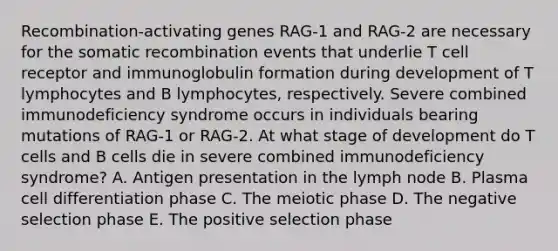 Recombination-activating genes RAG-1 and RAG-2 are necessary for the somatic recombination events that underlie T cell receptor and immunoglobulin formation during development of T lymphocytes and B lymphocytes, respectively. Severe combined immunodeficiency syndrome occurs in individuals bearing mutations of RAG-1 or RAG-2. At what stage of development do T cells and B cells die in severe combined immunodeficiency syndrome? A. Antigen presentation in the lymph node B. Plasma cell differentiation phase C. The meiotic phase D. The negative selection phase E. The positive selection phase