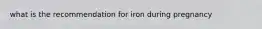 what is the recommendation for iron during pregnancy