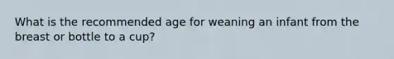 What is the recommended age for weaning an infant from the breast or bottle to a cup?
