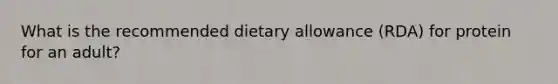 What is the recommended dietary allowance (RDA) for protein for an adult?