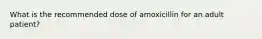 What is the recommended dose of amoxicillin for an adult patient?