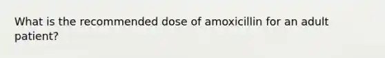 What is the recommended dose of amoxicillin for an adult patient?