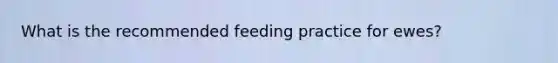 What is the recommended feeding practice for ewes?