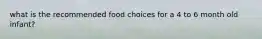 what is the recommended food choices for a 4 to 6 month old infant?