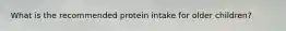 What is the recommended protein intake for older children?