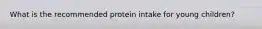What is the recommended protein intake for young children?