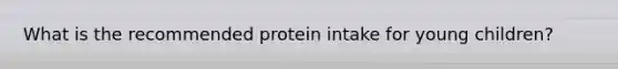 What is the recommended protein intake for young children?