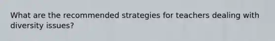 What are the recommended strategies for teachers dealing with diversity issues?