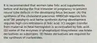 It is recommended that women take folic acid supplements before and during the first trimester of pregnancy to prevent neural tube defects in the developing fetus because: (A) the synthesis of the cholesterol precursor HMGCoA requires folic acid. (B) porphyrin and heme synthesis during development requires high concentrations of folic acid. (C) oxygen transfer from maternal to fetal hemoglobin is accentuated by folic acid. (D) some of the enzymes in phospholipid biosynthesis use folate derivatives as substrates. (E) folate derivatives are required for the synthesis of nucleotides.