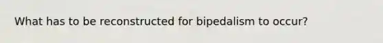 What has to be reconstructed for bipedalism to occur?